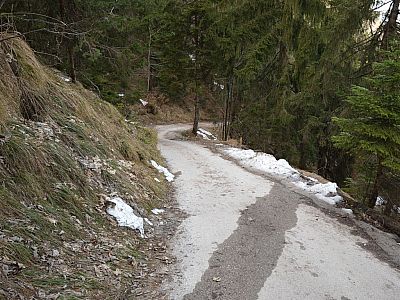 Wir steigen auf der Teerstraße ca. 100 m ab ...