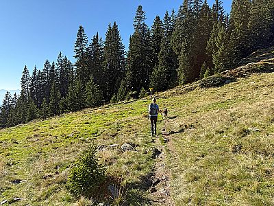 ...treffen wir wieder aus unseren Aufstiegsweg