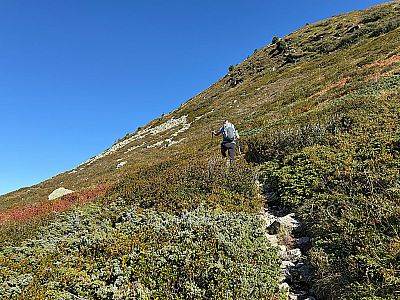 Ohne Verschnaufpause...