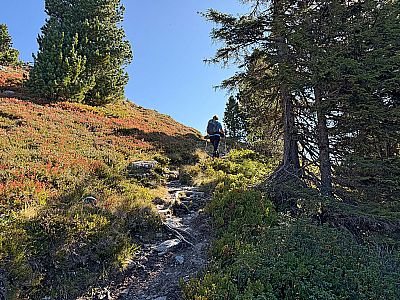 Wir touchieren ein Waldstück