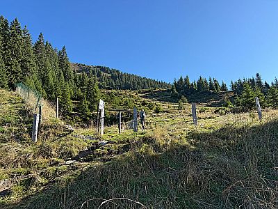 Vom Wanderparkplatz Loassattel...