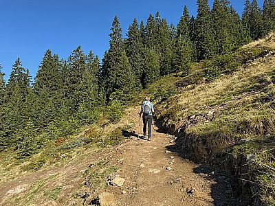 ...gewinnen wir die ersten Höhenmeter