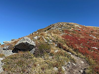 ...und folgen diesem zum Kuhmesser hinauf