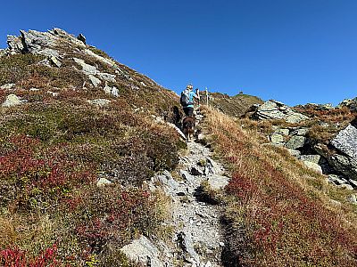 Wir steigen zum Gratverlauf hinauf...