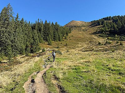 Nach wenigen Minuten...