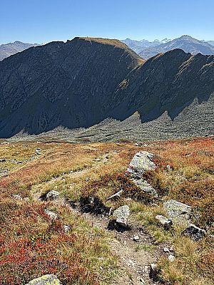 Ein kleiner Pfad bringt uns...