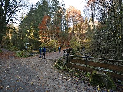 Wir überqueren ein zweites Mal die Steinacher Ache