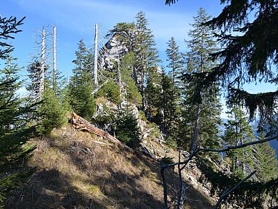 aber schon bald wird der Weg wieder bequemer