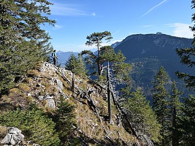 Immer wieder verweilen wir, um die Aussicht zu genießen