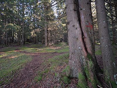 Hier halten wir uns rechts nach Süden
