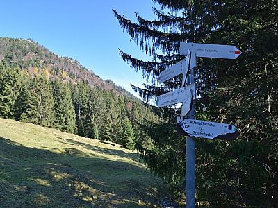 Hier folgen wir weiter dem Wegweiser Richtung Himmelreich