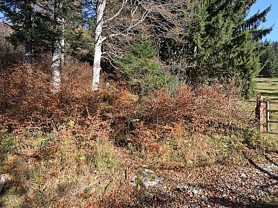 Dahinter ist nach rechts nur andeutungsweise ein Weg vorhanden...