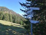 Hier folgen wir weiter dem Wegweiser Richtung Himmelreich
