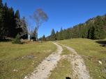 Im Sattel wird es auf den Himmelreich-Wiesen recht sonnig
