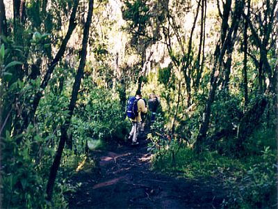 Der Regen hat den Weg in eine schlammige Rutschbahn verwandelt
