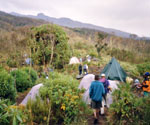 Das Machame-Camp