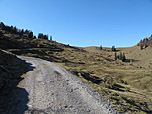 ...und folgen weiterhin dem Forstweg