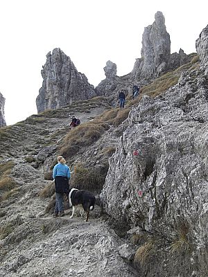 Kurz vor der Schulter