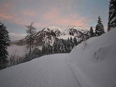 Nur wenig später erreichen wir wieder die Langlaufloipe 