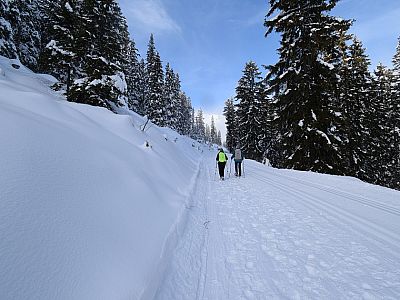 Neben der Loipe wandern wir gemächlich bergauf