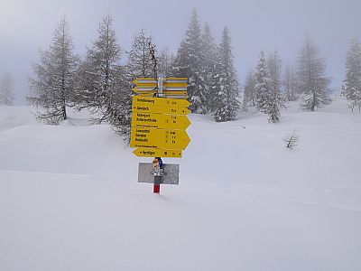 Wir spazieren weiter bis zum Loassattel