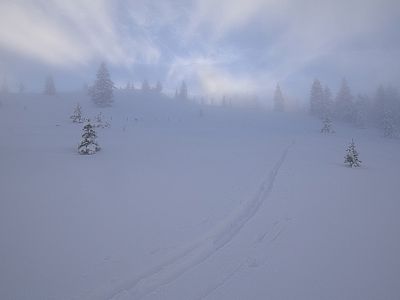Aus dem Loassattel führt meist eine Spur nach Süden in Richtung Kleiner Gamsstein