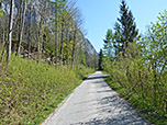 Wir folgen der Forststraße...
