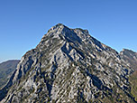 Blick zum Traunstein