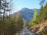 ...zu einem Forstweg