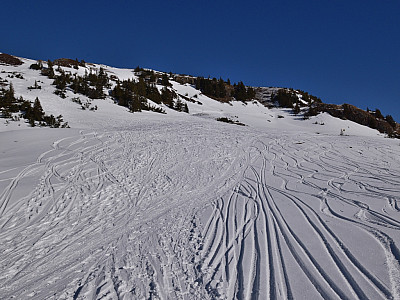 Die Spur führt kurz nach Nordosten und dreht vor dem Wildschutzgebiet nach Norden
