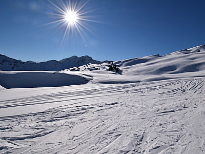 Erneut fellen wir an und steigen auf