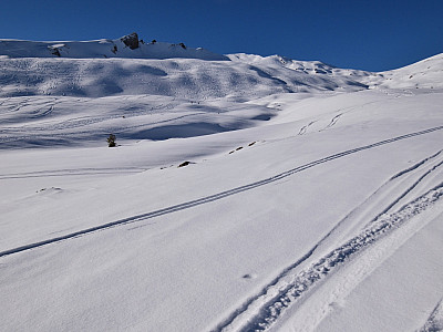 Minuten vorher haben wir selbst eine der vielen Spuren vom Hählekopf gezogen