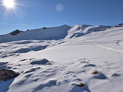 Der Blick zum Hählekopf
