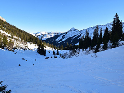 ... dann halten wir uns durch eine Schneise rechts