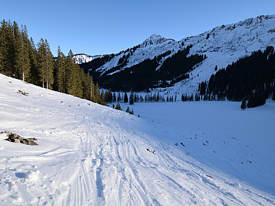 Auf dem flachen Wirtschaftsweg geht es wieder zurück zum Parkplatz