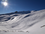 Der dünne Harschdeckel auf dem Schnee glänzt in der Sonne
