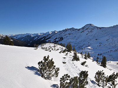 Der Blick zurück auf die  Ochsenhofer Köpfe 