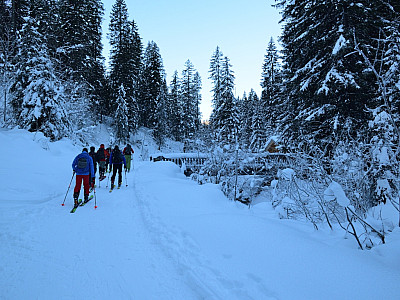 Lange geht es auf dem flachen Forstweg durch den Wald