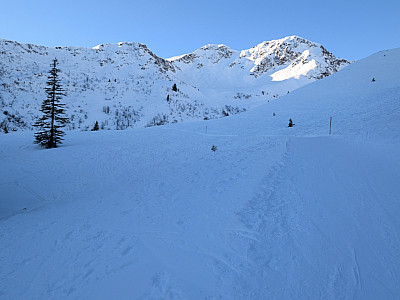 Vor uns zeigt sich das Grünhorn ...