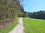 Wir folgen dem Waldrand...