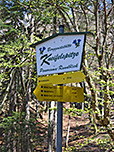 ...bringt uns zu einer Verzweigung