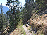 ...und einen Querweg