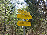 Am Waldrand wenden wir uns nach rechts...