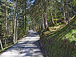 Die Teerstraße wird etwas flacher...