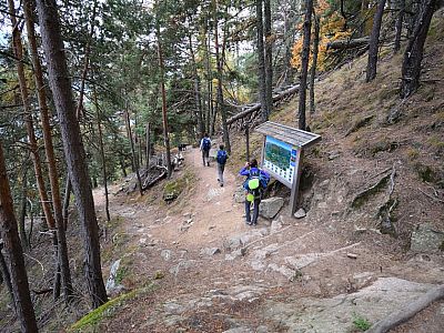 Hier bleiben wir auf den oberen Weg, weiter Richtung Linthof