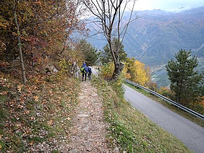 Ein Stück führt der Weg auf der Straße