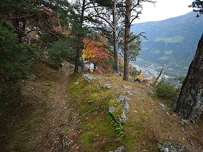 Allmählich wird der Weg steiler