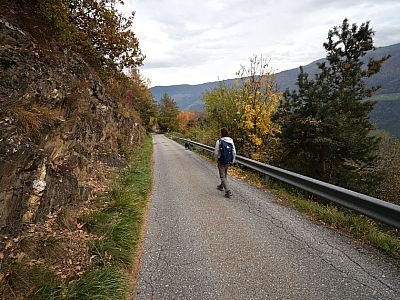 Wieder geht es wenige Meter auf der Straße bergab, ...