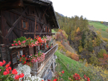 Der Blumenschmuck an der Südseite der Alm