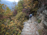 Durch den Herbstwald...